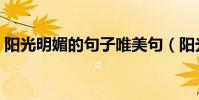 陽光明媚的句子唯美句(陽光明媚的近義詞)