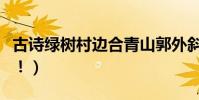 古詩綠樹村邊合青山郭外斜是什么意思(謝謝!)
