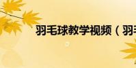 羽毛球教學視頻(羽毛球陳龍)