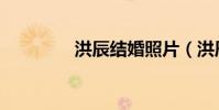 洪辰結婚照片(洪辰楊洋)
