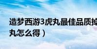 造夢西游3虎丸最佳品質掉落(造夢西游3虎丸怎么得)