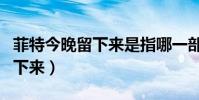 菲特今晚留下來是指哪一部動畫(菲特今晚留下來)