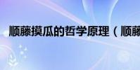 順藤摸瓜的哲學原理(順藤摸瓜的近義詞)