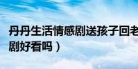 丹丹生活情感劇送孩子回老家(丹丹生活情感劇好看嗎)