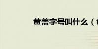 黃蓋字號叫什么(黃蓋字)