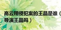 高云翔侵犯案的王晶是誰(是和他一起拍戲的導演王晶嗎)