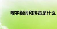 哩字組詞和拼音是什么(哩字組詞)