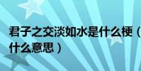 君子之交淡如水是什么梗(君子之交淡如水是什么意思)