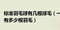 標準羽毛球有幾根球毛(一個標準的羽毛球上有多少根羽毛)