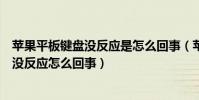 蘋果平板鍵盤沒反應是怎么回事(蘋果平板電腦連接鍵盤后沒反應怎么回事)