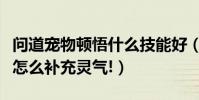 問道寵物頓悟什么技能好(問道寵物頓悟技能怎么補充靈氣!)