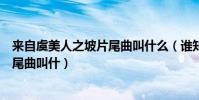 來自虞美人之坡片尾曲叫什么(誰知道虞美人盛開的山坡片尾曲叫什)