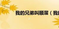 我的兄弟叫順溜(我的程序里)