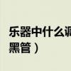 樂器中什么調最高什么調最低（樂器中什么是黑管）