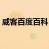 威客百度百科（現在很流行威客什么是威客）