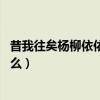 昔我往矣楊柳依依的意思是（昔我往矣,楊柳依依的意思是什么）