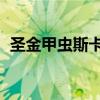 圣金甲蟲斯卡納怎么樣（圣金甲蟲 斯卡納）