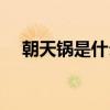 朝天鍋是什么菜系（朝天鍋是什么菜系）