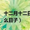 十二月十二日是什么星座（十二月十二日是什么日子）