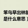 笨鳥早出林前一句（笨鳥先飛早入林這個諺語是什么意思）