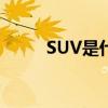 SUV是什么意思（是不是越野車）