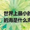 世界上最小的海是什么海在哪里（世界上最小的海是什么海）