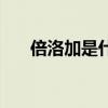 倍洛加是什么東西（倍洛加是真的嗎）