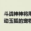斗戰神神將用什么寵物（斗戰神現在最適合移動玉狐的寵物）