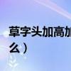 草字頭加高加木念什么（草字頭加高加木讀什么）