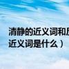 清靜的近義詞和反義詞分別是什么（清白的反義詞和恬靜的近義詞是什么）