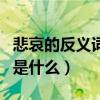 悲哀的反義詞是什么標準答案（悲哀的反義詞是什么）