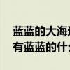 藍藍的大海還有藍藍的什么（藍藍的大海,還有藍藍的什么?）