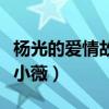 楊光的愛情故事小薇唱的歌（楊光的愛情故事小薇）