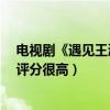 電視劇《遇見王瀝川》結局（為什么電視劇《遇見王瀝川》評分很高）