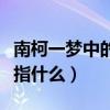 南柯一夢中的南柯是指（南柯一夢中的南柯是指什么）