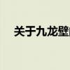 關于九龍壁的資料（關于九龍壁的資料）