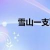雪山一支蒿價格（雪山一支蒿價格）