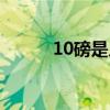 10磅是幾公斤（10磅是多少斤）