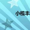 小欖豐華學校（小欖豐華學校）