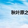 秋葉原之旅豆瓣（秋葉原之旅dlc）
