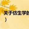 關于仿生學的發明簡筆畫（關于仿生學的資料）
