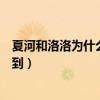 夏河和洛洛為什么分手（夏河和洛洛的結婚照片哪里可以找到）