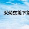 采菊東籬下悠然見南山全詩（采菊東籬下）