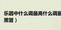 樂器中什么調最高什么調最低(樂器中什么是黑管)