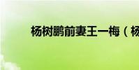 楊樹鵬前妻王一梅(楊樹鵬身高)