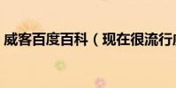 威客百度百科(現在很流行威客什么是威客)