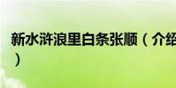 新水滸浪里白條張順(介紹水滸浪里白條張順)