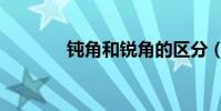 鈍角和銳角的區分(鈍組詞)