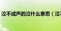 泣不成聲的泣什么意思(泣不成聲的近義詞)