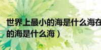世界上最小的海是什么海在哪里(世界上最小的海是什么海)